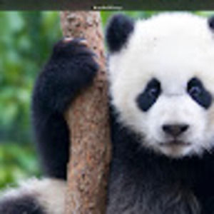 Meet your Posher, Fabiola